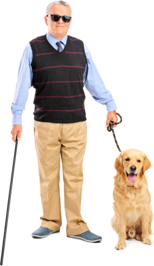 blind man action movie